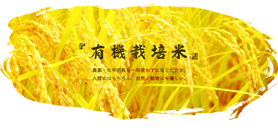 送料無料 店舗 有機栽培で育てたコシヒカリ、古代米なら【田んぼ屋】へ その他