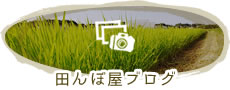 田んぼ屋ブログ