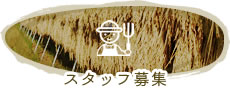 スタッフ募集