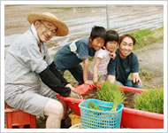 5月：田植え